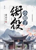 衙役小娘子青云上TXT