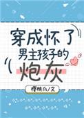 穿成怀了男主孩子的炮灰 作者樱桃爪