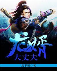龙婿大丈夫TXT