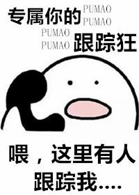 我的专属跟踪狂TXT