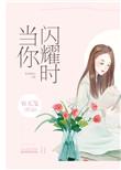当你闪耀时容无笺免费阅读