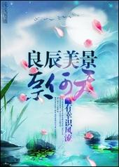 良辰美景下一句怎么说