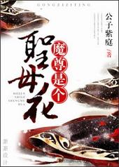 魔尊是个圣母花?讲的什么
