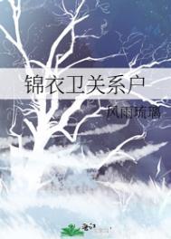 锦衣卫关系户有女主吗