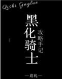 黑化骑士攻略手记(巡礼)