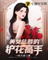 美女总裁的护花高手 于荷