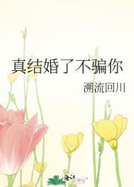 真结婚了不骗你番外