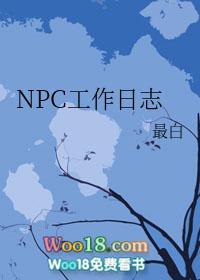 npc工作日志txt百度
