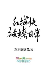 红捕快被撩日常全文免费