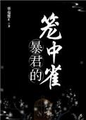 暴君的笼中雀虞宵txt