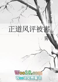 正道风评被害推书
