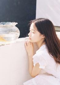 何言不遇全本免费阅读