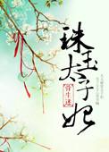 珠玉太子妃的女主是穿越的么