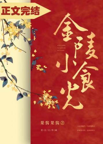 金陵小食光百度TXT