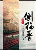 重生侧福晋宋氏