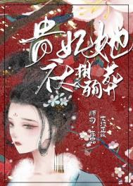 贵妃她不太想殉葬免费阅读