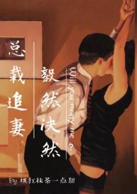 总裁追妻很上心 安然