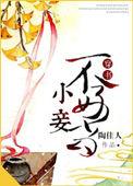 小妾不好当(穿书) 陶佳人