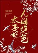 太子妃人间绝色讲的什么