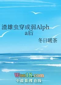 渣雄虫穿成弱alpha后资源