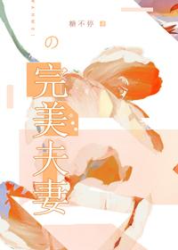 完美夫妻演员表全部