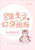 穿成重生文好孕炮灰百度