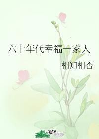 六十年代幸福一家人讲的是什么