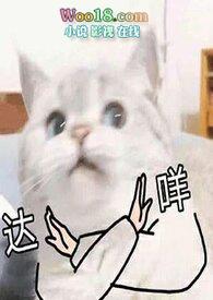 博主孙俪再次用作品打了个翻身仗