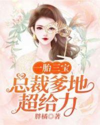 一胎三宝总裁爹地超给力免费