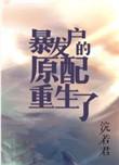 暴发户的中医前妻[年代