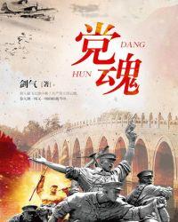 党魂的意思是什么解释