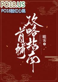 首辅攻略指南(1v1)讲的什么