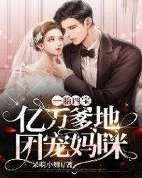 一包四胎亿万爹爹腹黑妈咪