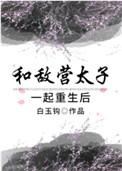 和敌国太子一起读书的日子