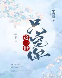 这一世换我宠你是什么