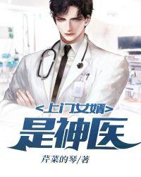 上门女婿超级神医