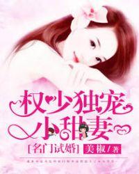 名门试婚权少独宠小甜妻讲的什么故事