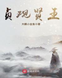 贞观贤王几个媳妇