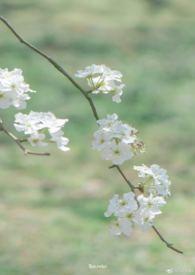 虚负青春