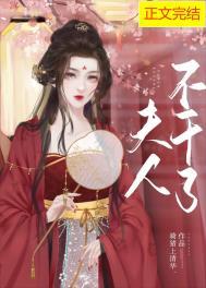 夫人不干了免费阅读