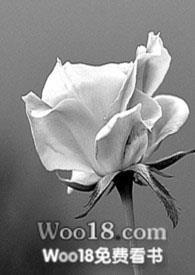 感知中国长三角高校交流活动