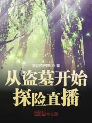 从盗墓开始探险直播(全本)
