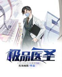 极品医圣在都市TXT免费阅读无弹窗