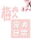 梅夫人宠夫日常 简介