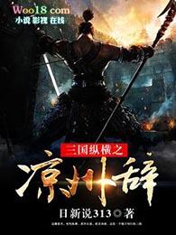 三国纵横之凉州辞起点