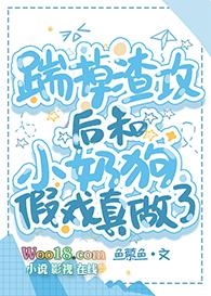 渣攻火葬场快穿