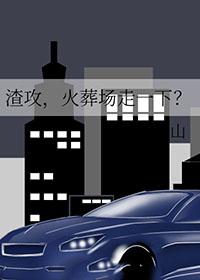 渣攻火葬场走一下