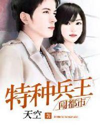 特种兵王闯都市TXT