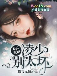 天价婚宠凌少别太坯全文免费