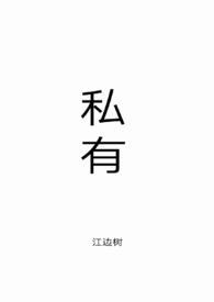 私有化是什么意思